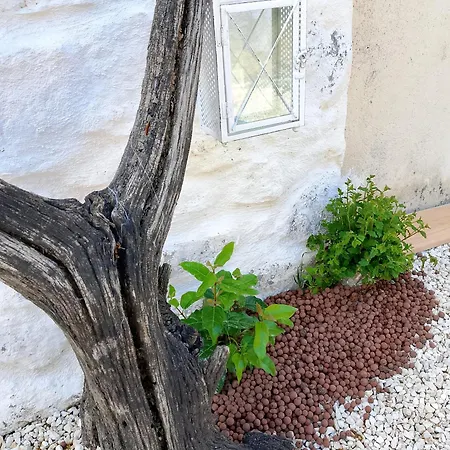 بيت للعطل Maisonnette Soleil