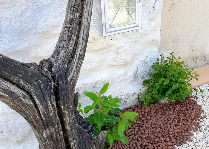 Σπίτι διακοπών Maisonnette Soleil